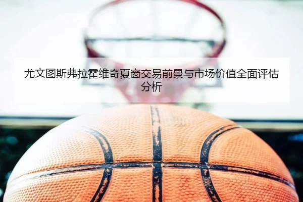 尤文图斯弗拉霍维奇夏窗交易前景与市场价值全面评估分析